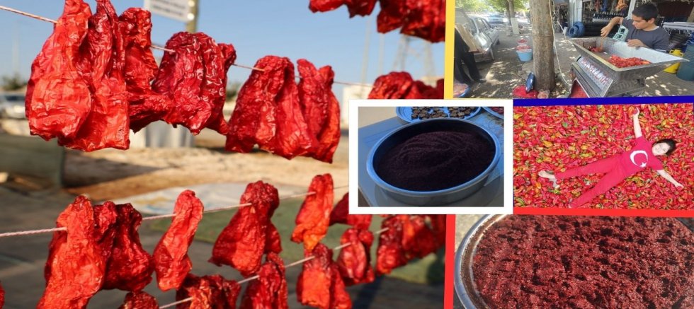 Acının En Tatlı Hali: Urfa İsot’u Sofralara Uzanıyor!