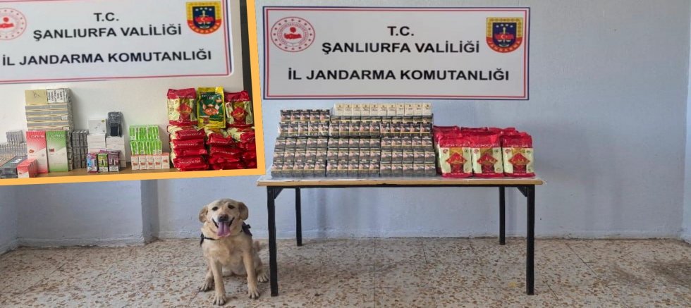 Şanlıurfa’da Kaçak Sigara ve Çay Operasyonu