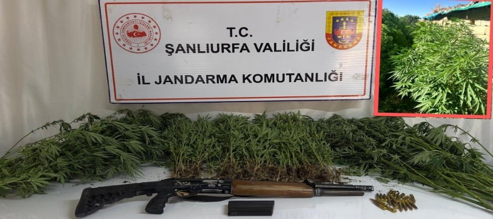 Şanlıurfa’da Uyuşturucu Operasyonu