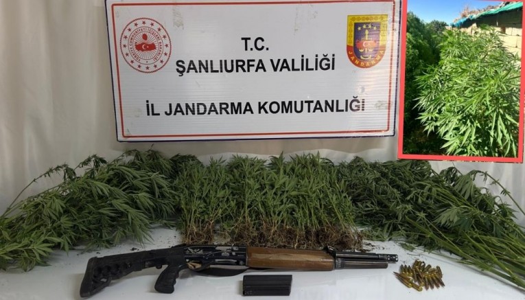 Şanlıurfa’da Uyuşturucu Operasyonu
