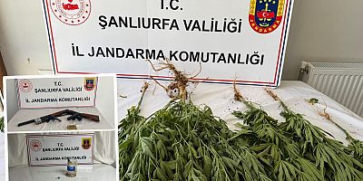 Jandarmadan 3 ilçede eş zamanlı operasyon!