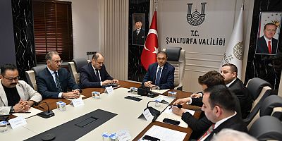 Sahipsiz Hayvanlara İlişkin Çalışmalar Çok Yönlü Ele Alındı 
