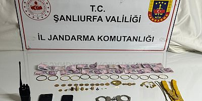Sahte polis tuzağına JASAT darbesi