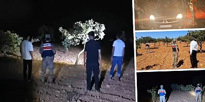 Şanlıurfa’da Jandarma Fıstık Hırsızlığına Karşı Teyakkuzda