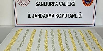 Şanlıurfa’da Jandarma ve Mit’ten Uyuşturucu Operasyonu