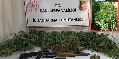Şanlıurfa’da Uyuşturucu Operasyonu
