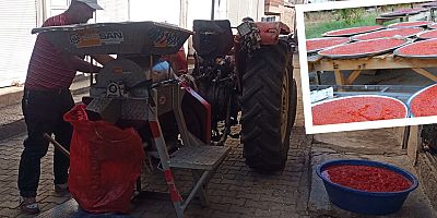 Siverek’te Salça Sezonu Başladı