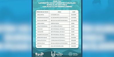 Siverek’ten Gururlandıran Başarı: 5 Öğrenci Bursluluk Sınavında Tam Puan Aldı