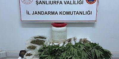Suruç’ta Uyuşturucu Operasyonu: Kenevir ve Esrar Ele Geçirildi
