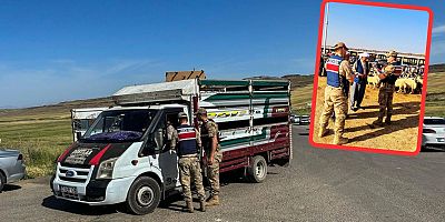 Urfa Jandarmasından Kurban Öncesi Hayvan Pazarı Denetimi